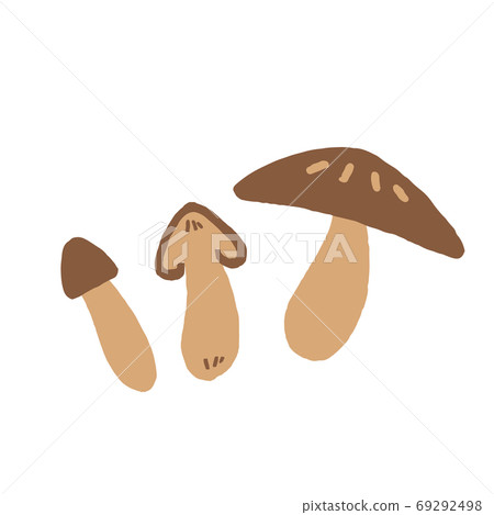 Mushroom illustration 69292498