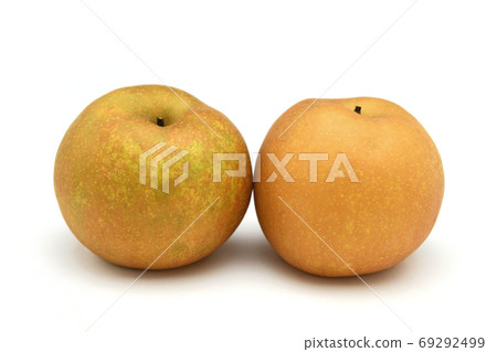 Pear 69292499