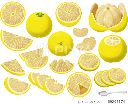 各種葡萄柚 69293174