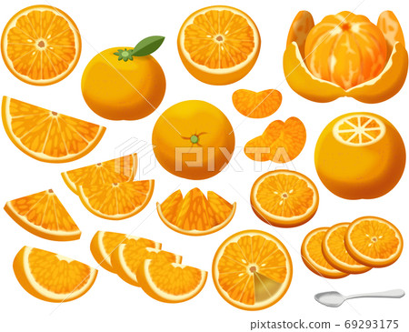 Various oranges 69293175