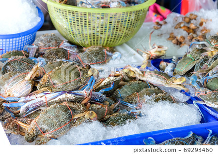 Image of Fresh raw crab at sea food market,Thailand 69293460