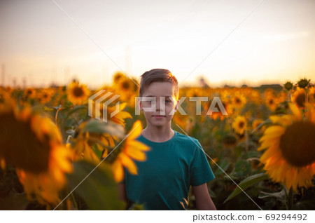 Portrait of beautiful blond kid boy on summer sunflower field 69294492