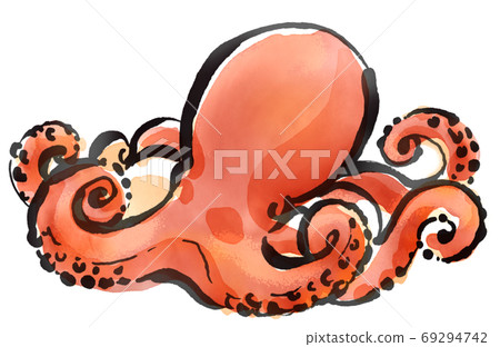 新鮮章魚2 新鮮章魚2 69294742