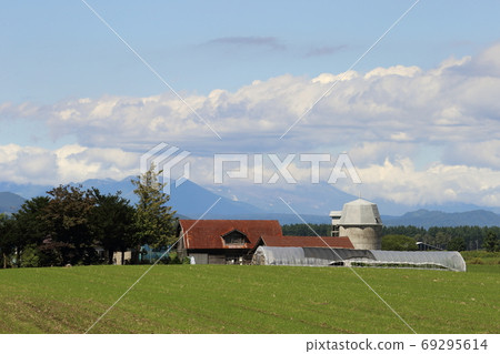 北海道十勝牧場的風景 照片素材 圖片 圖庫