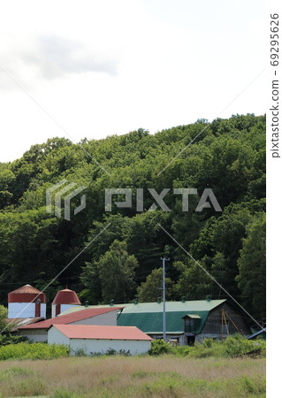 北海道十勝地區的農場風景 69295626