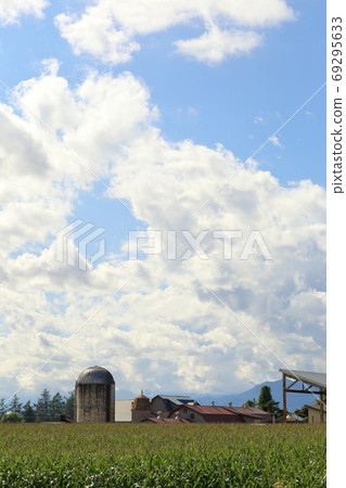 北海道十勝牧場的風景 照片素材 圖片 圖庫