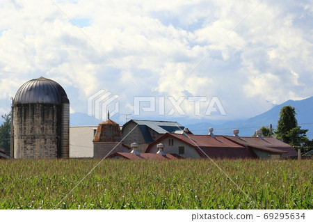 北海道十勝牧場的風景 照片素材 圖片 圖庫