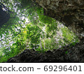 uprisen view of green leaves trees and rocks frame in the forest 69296401