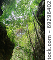 vertical photo of uprisen angle view of green leaves trees and c 69296402