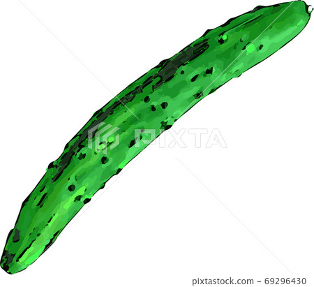 Illustration of realistic cucumber in watercolor style art 69296430