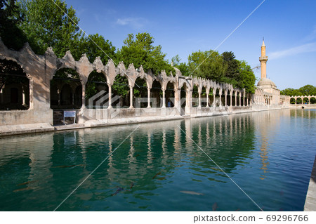 Sanliurfa Sacred Fish Pond 69296766
