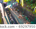 Spider web spider 69297950
