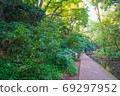 Todoroki Valley landscape 69297952