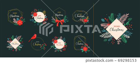 Christmas backgrounds and New year abstract botanical illustrations, cards and patterns with red 69298153