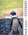 Aquarium penguin 69298885
