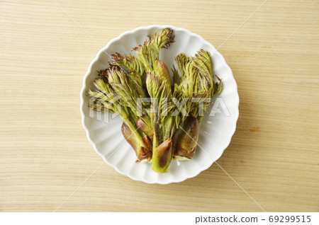 Bud of tara 69299515