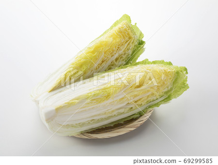 Cabbage 69299585