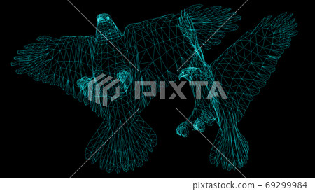 Isolated Low Poly graphic design of . Eagles -3d rendering. 69299984