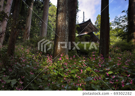 Iwakuji Temple Iwakuji Temple 69302282