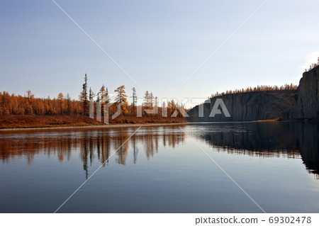 Larch taiga in September on the banks of the river Larch taiga in September on the banks of the river 69302478