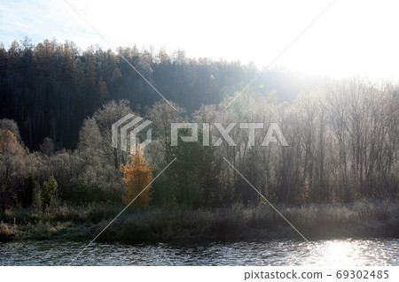 Taiga in the Irkutsk region, Russia. 69302485