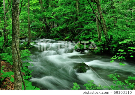 Fresh green Oirase Gorge, healing photo Fresh green Oirase Gorge, healing photo 69303110