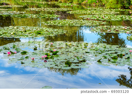 Monet's Pond at Giverny with water lilies - France Monet's Pond at Giverny with water lilies - France 69303120