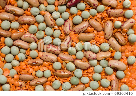 Variety of pulses essential for human life 69303410