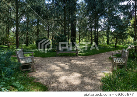 Benchs in blue forest of Albert Kahn Park - Boulogne-Billancourt - France 69303677
