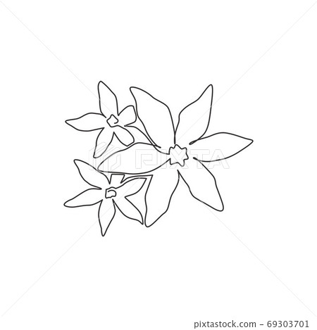 One Continuous Line Drawing Of Beauty Fresh Stock Illustration 69303701 Pixta