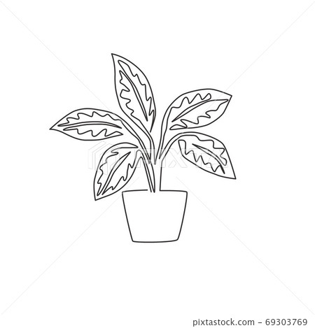 One single line drawing cute potted tropical leaf aglaonema plant 69303769