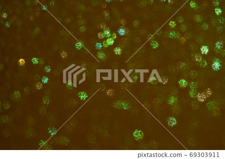 Christmas background. Festive abstract background with bokeh defocused lights and stars Christmas background. Festive abstract background with bokeh defocused lights and stars 69303911