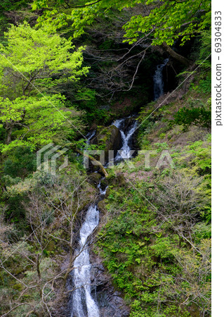 Ajidono Garasha Otaki and clear stream Ajidono Garasha Otaki and clear stream 69304833