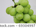 Shine Muscat 69304997