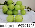 Shine Muscat 69304998