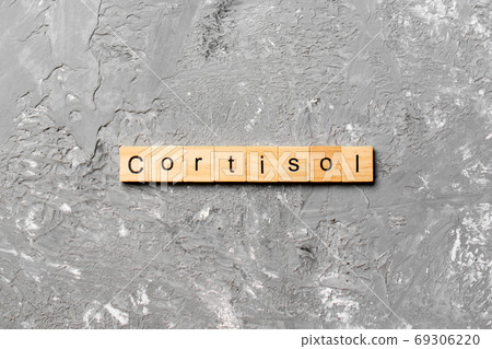 Cortisol word written on wood block. Cortisol text on cement table for your desing, Top view concept Cortisol word written on wood block. Cortisol text on cement table for your desing, Top view concept 69306220