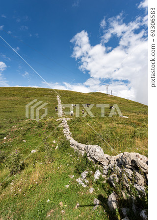 Monte Baldo - Green Pastures in Italian Alps with Cows Monte Baldo - Green Pastures in Italian Alps with Cows 69306583
