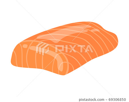 Illustration of salmon fillet 69306850