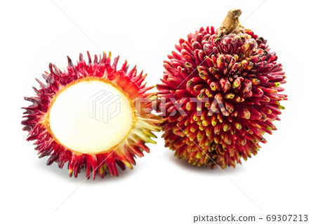 Pulasan, Nephelium mutabile or Nephelium ramboutan-ake isolate on white background Pulasan, Nephelium mutabile or Nephelium ramboutan-ake isolate on white background 69307213