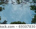 Background tree blue sky frame 69307830
