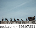 Historical architecture tourist attraction 69307831