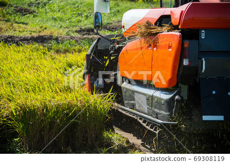 用巨大的聯合收割機收割水稻的照片 用巨大的聯合收割機收割水稻的照片 69308119