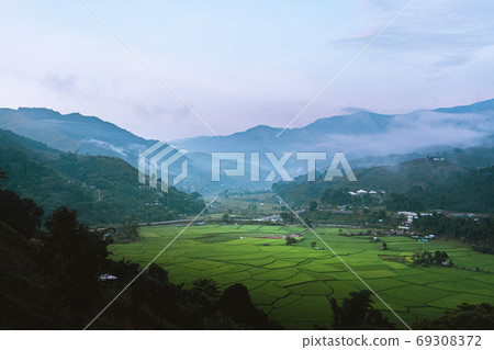 Mountains and green rice fields in the evening Mountains and green rice fields in the evening 69308372