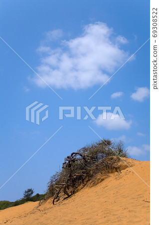 landscape with  dead tree in sand and cloudy skies 69308522
