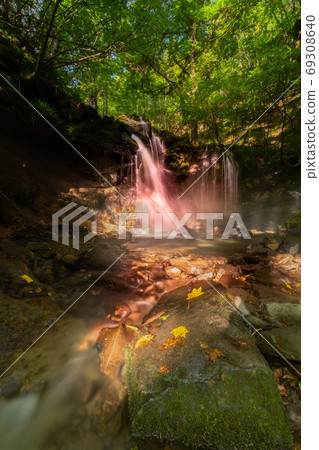 Monkey Bottle Falls Monkey Bottle Falls 69308640