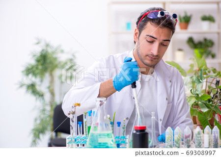 Young male chemist working in the lab Young male chemist working in the lab 69308997