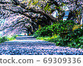 櫻花隧道 69309336