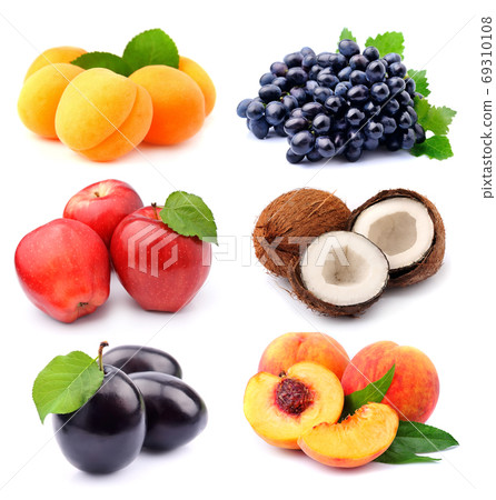Collection of fruits Collection of fruits 69310108
