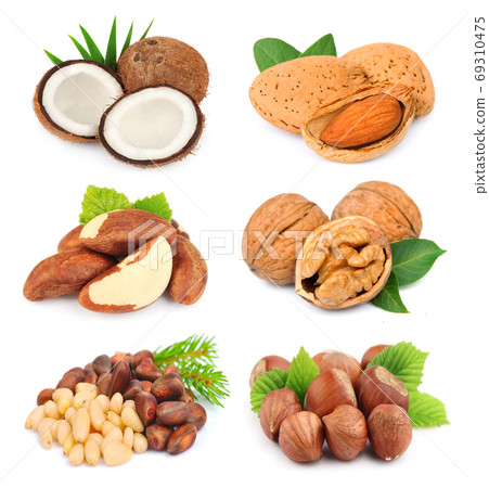 Collection of nuts Collection of nuts 69310475
