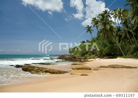 Tropical paradise with trees on beach against blue sky with clo Tropical paradise with trees on beach against blue sky with clo 69311197